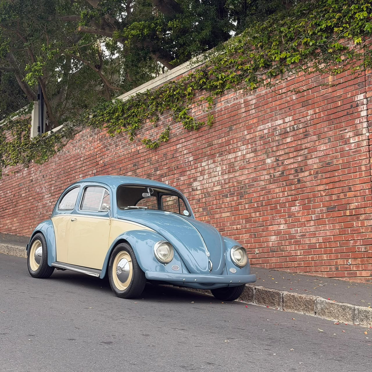 1959 Volkswagen Beetle